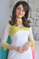 Tamanna in Endukante Premanta